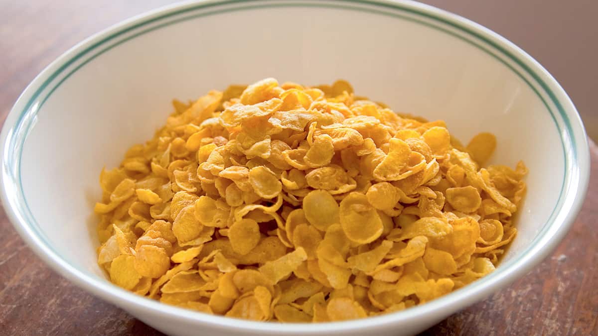 Kareena's Chemistry Extract Iron from your Cereal Experiment Fun