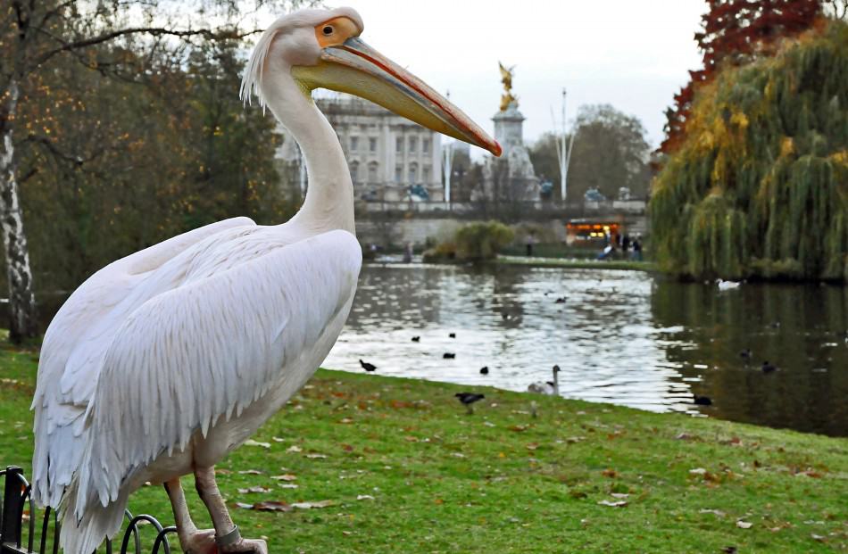 Парк Hyde Park