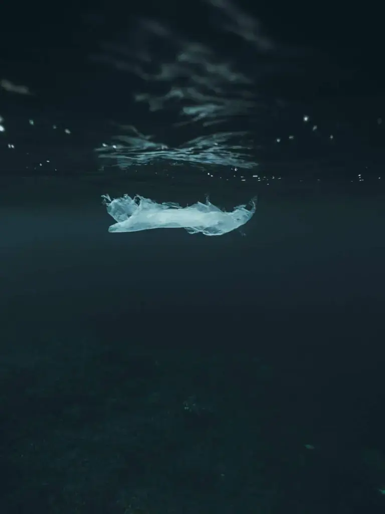 woman in white dress in water