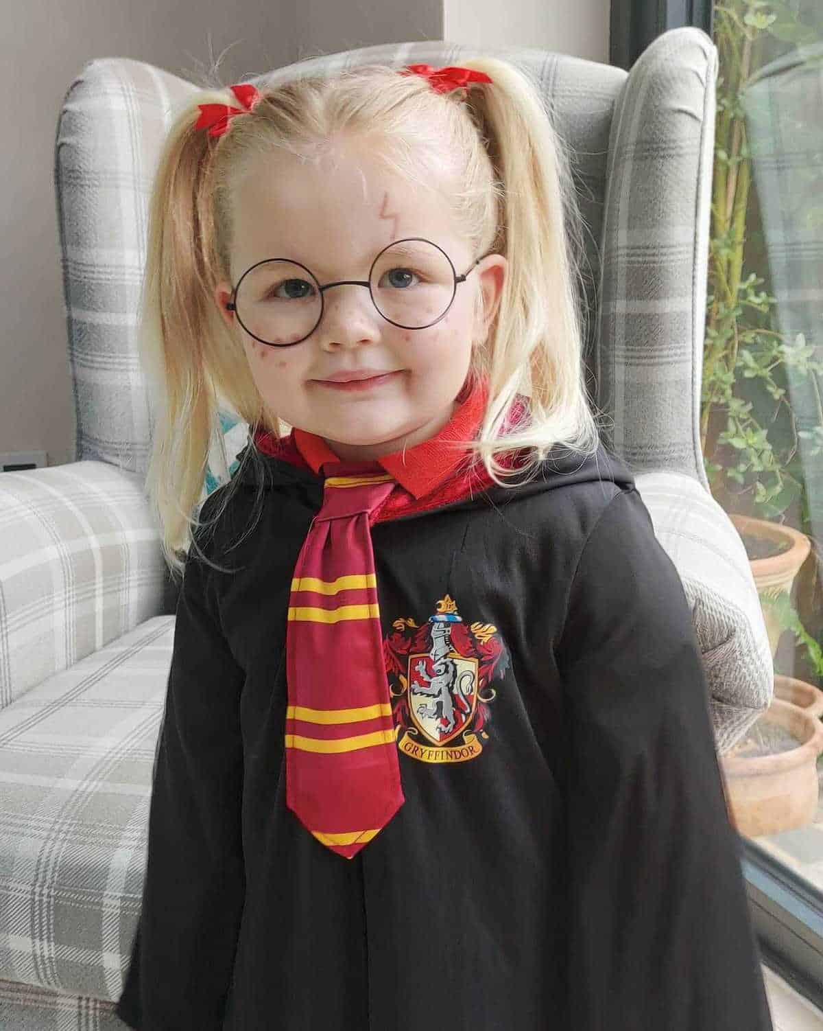 Dorothy Costume With Dog In Basket For Girls - Gingham Dress Matching Hair Ties Small Grey Dog In Basket Kansas Girl World Book Day Fancy Dress Costume - Foto 12