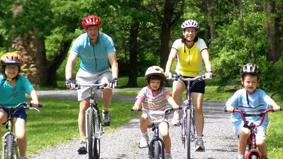 bike safety for adults