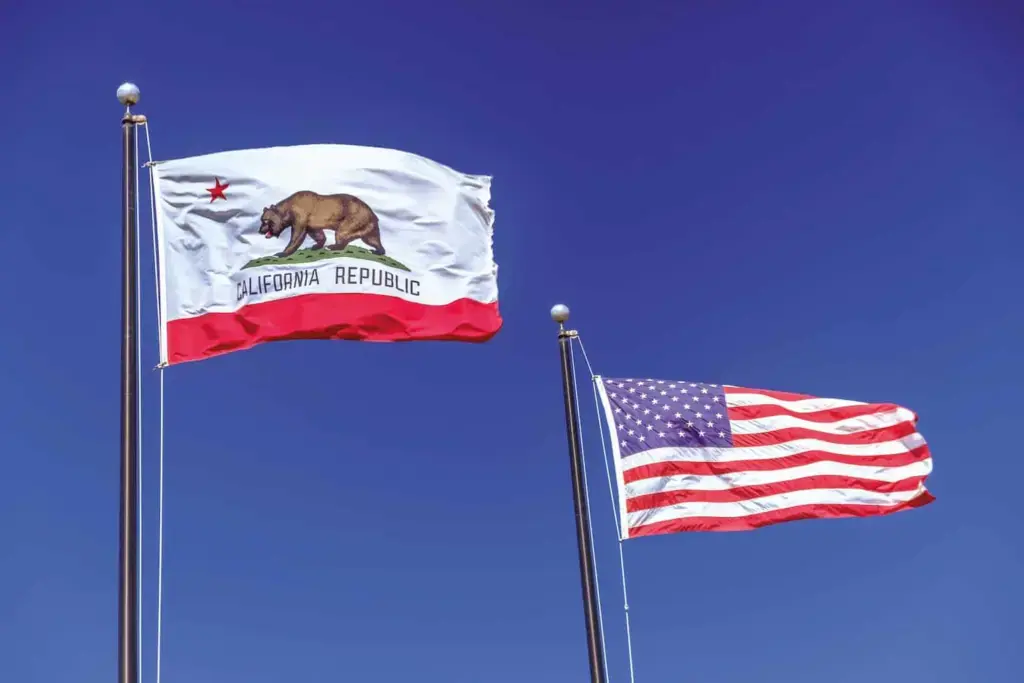 waving U.S.A flag