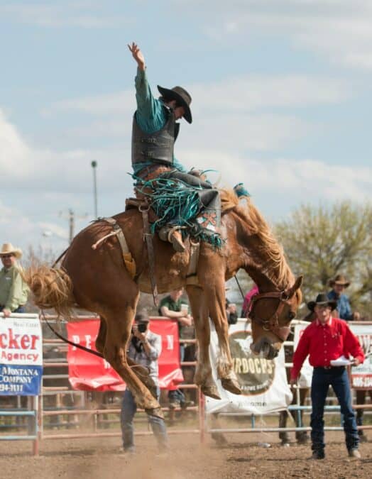 Top 10 Facts About Texas! - Fun Kids - the UK's children's radio station