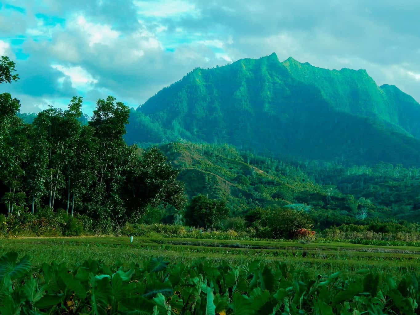 Top 10 Facts About Hawaii! - Fun Kids - the UK's children's radio station