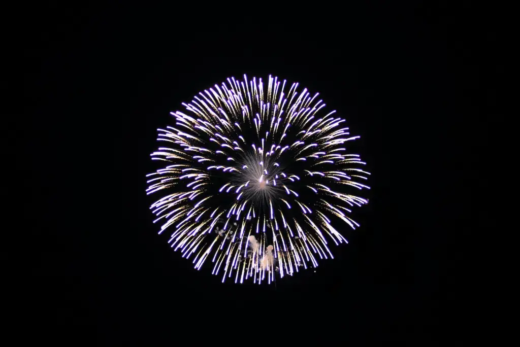 fireworks display