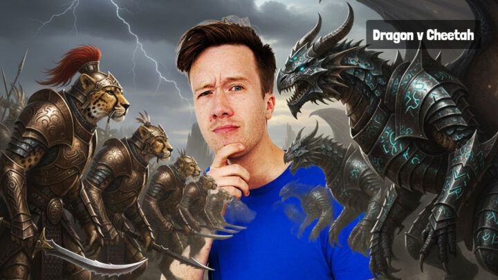 Dragon v Cheetah