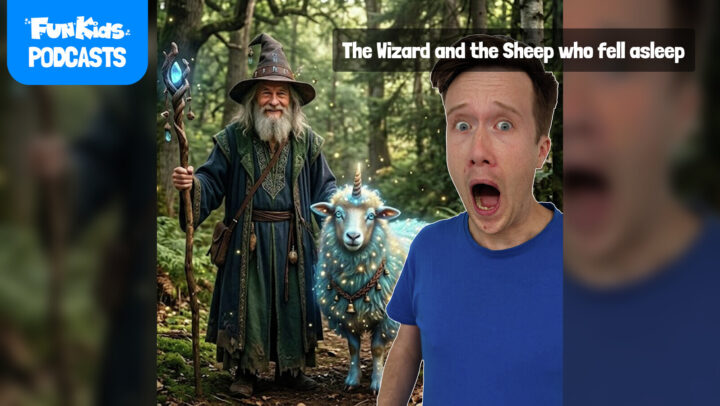 The Wizard and the Sheep who fell asleep