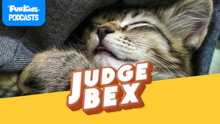 Chores, Cats, and Snoring Mums