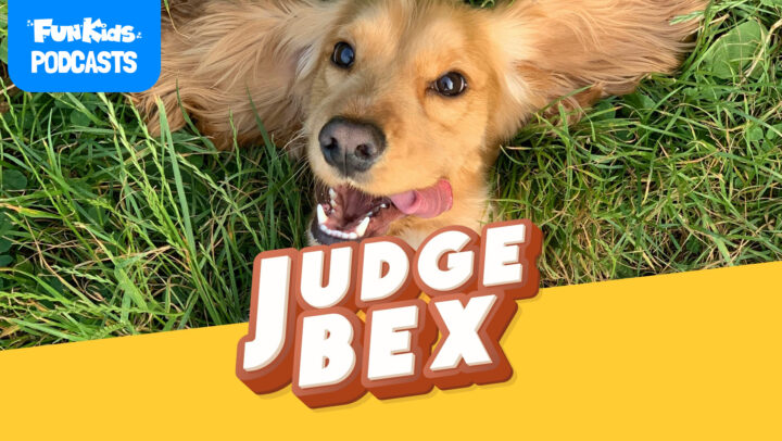 Dogs and 4 o’clock wake-ups