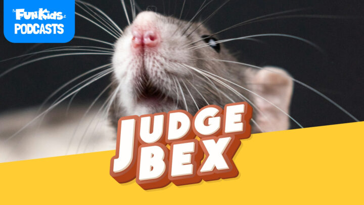 Mum blames the rat as Dad dishes out dinner drama