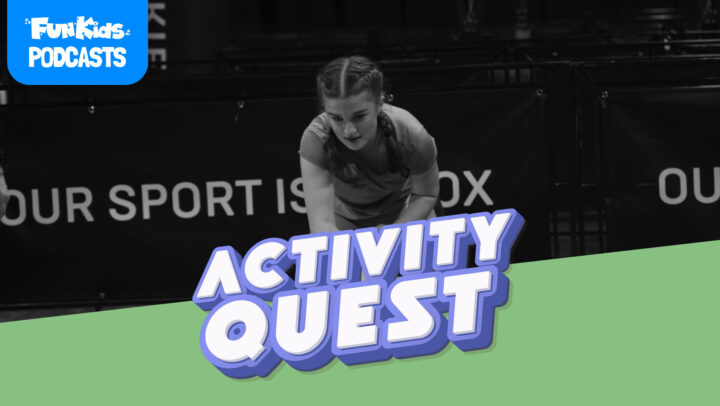 The High-Energy World of Hyrox Young Stars